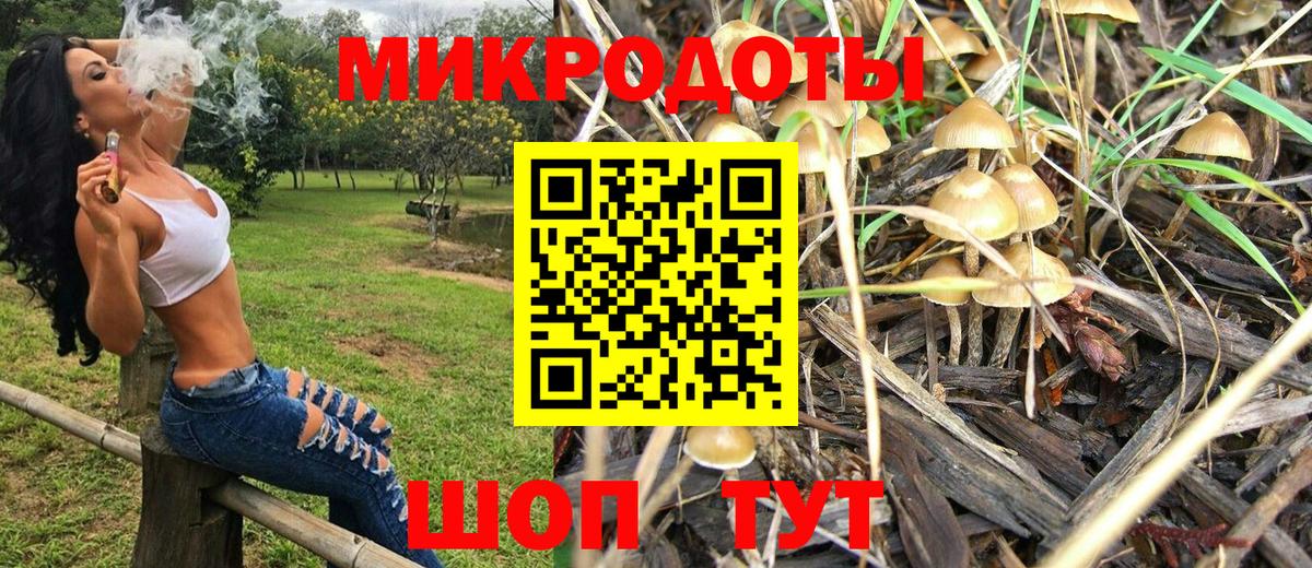 Аша  Псилоцибиновые грибы Psilocybine cubensis  Вход с VPN 